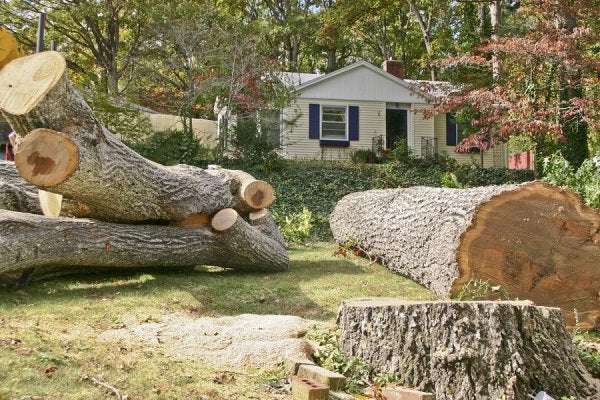 yard equipment rental - a tool shed san jose